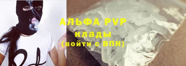 spice Беломорск