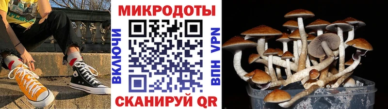 Галлюциногенные грибы GOLDEN TEACHER  купить  цена  Нарьян-Мар 
